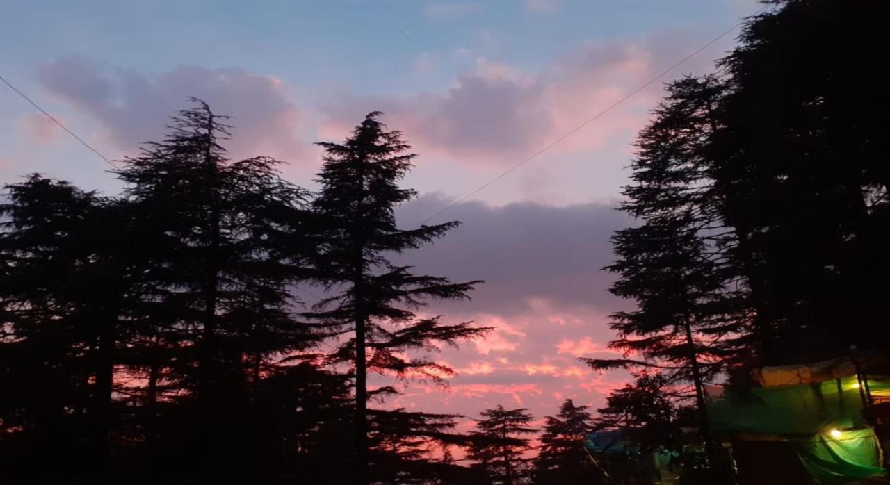 Mcleodganj Bed & Breakfast 麦罗肯机 外观 照片